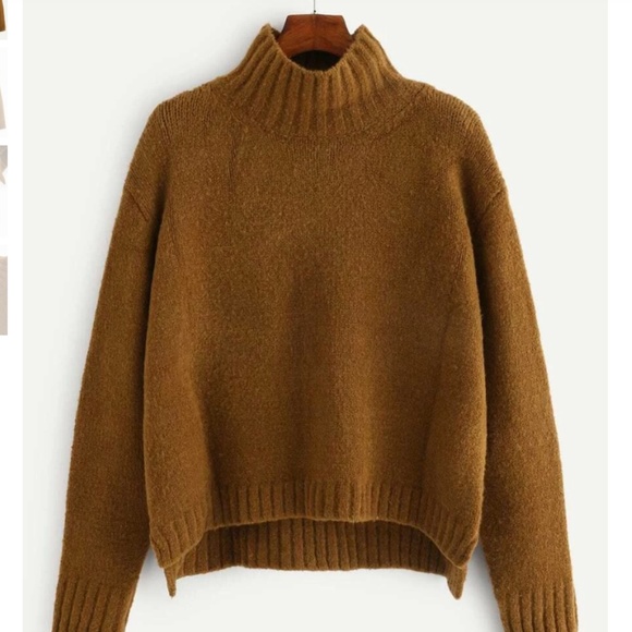 Rusty Brown Turtleneck Sweater - Picture 1 of 4